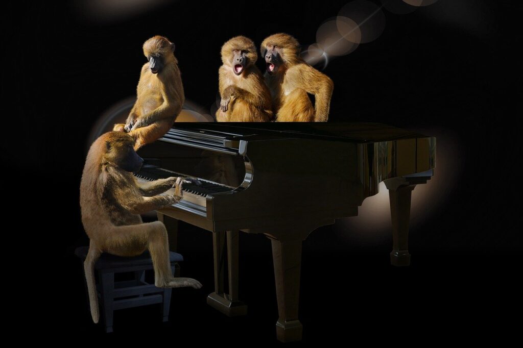EvolutionCasino 개요 및 완벽 가이드